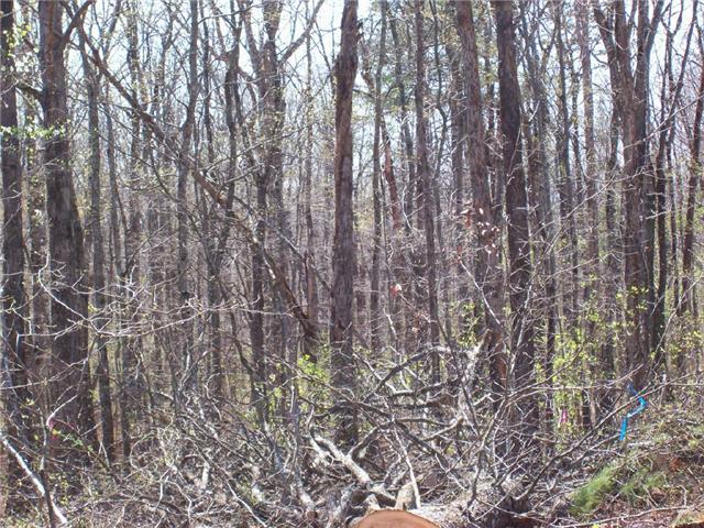 24 Pigeon Spur Road Tracy City, TN 37387 - Photo 4 of 12 5.54 acres