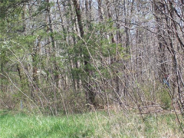 24 Pigeon Spur Road Tracy City, TN 37387 - Photo 5 of 12 Enjoy the country life