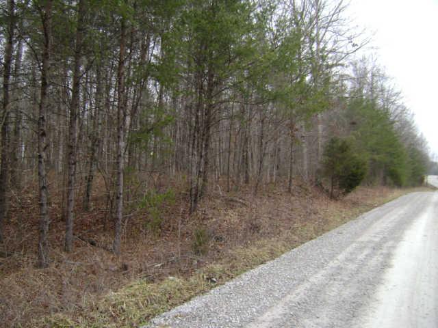 24 Pigeon Spur Road Tracy City, TN 37387 - Photo 7 of 12 261 ft. of County road frontage