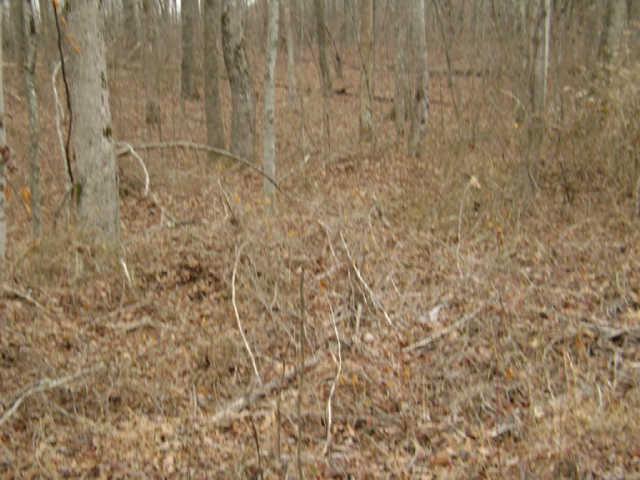 24 Pigeon Spur Road Tracy City, TN 37387 - Photo 9 of 12 10 minutes to interstate
