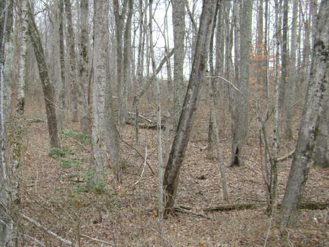 24 Pigeon Spur Road Tracy City, TN 37387 - Photo 10 of 12 Some restrictions apply