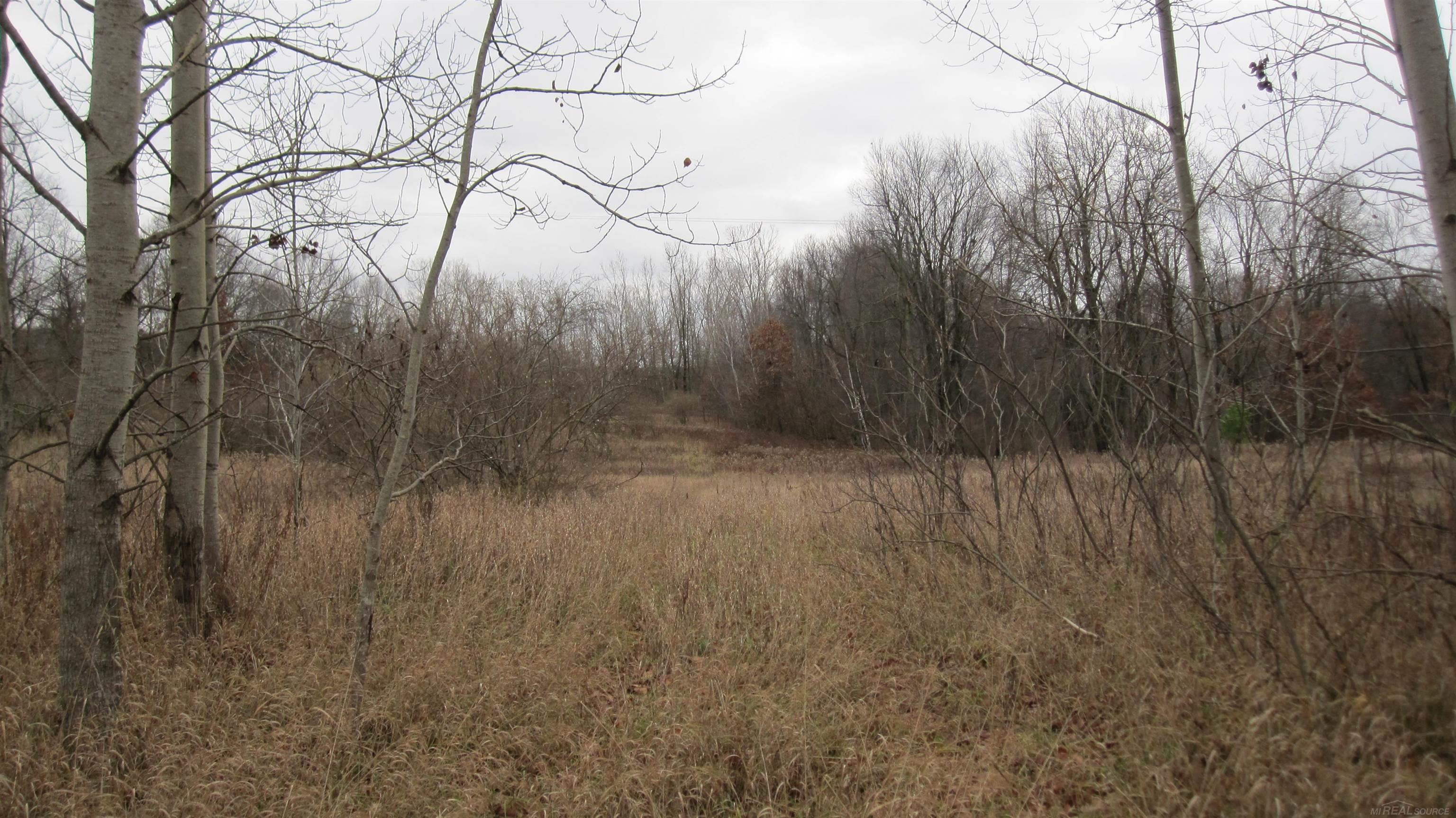0 Oak Grove Road North Branch, MI 48461 - Photo 7 of 16