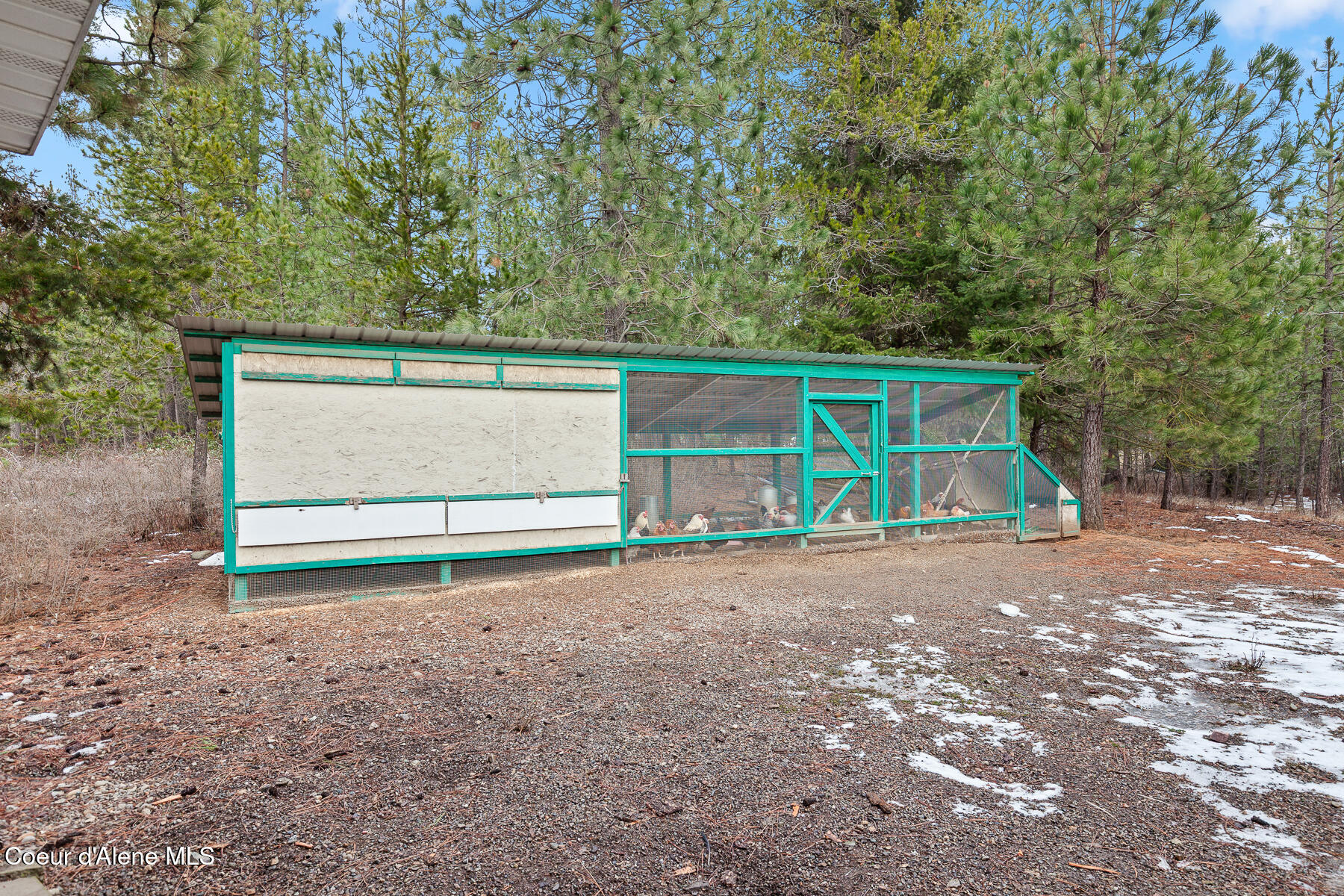 32053 East Red Dell Loop Athol, ID 83801 - Photo 34 of 47 Large chicken coop