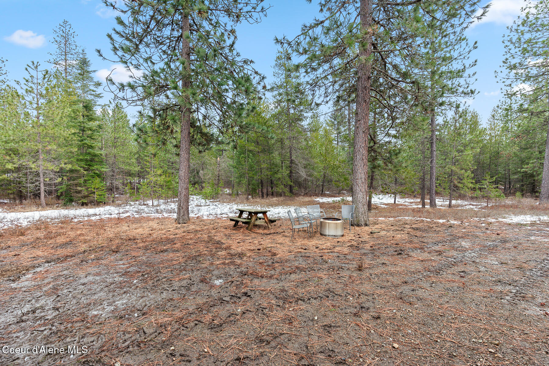 32053 East Red Dell Loop Athol, ID 83801 - Photo 38 of 47 Nicely treed