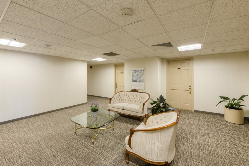 44 Elm Street, Unit 501 Worcester, MA 01609 - Photo 39 of 41 a living room with furniture and a potted plant