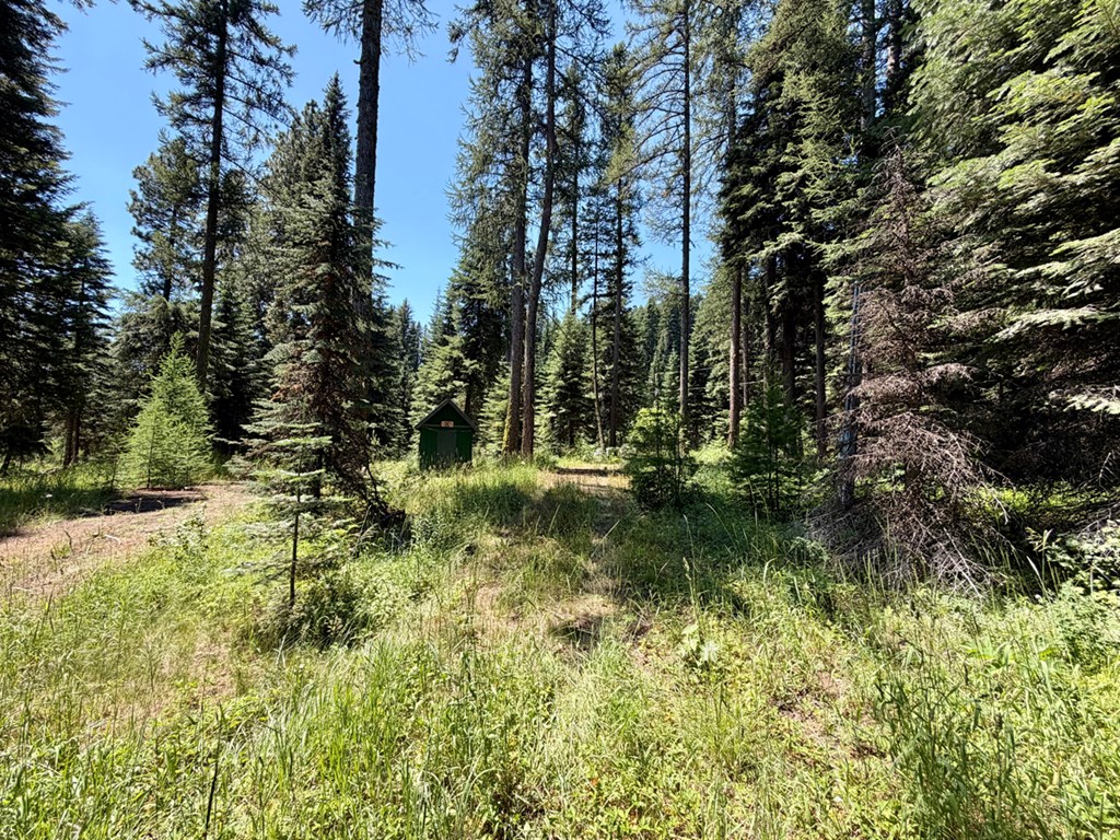 1610 Bear Trail Loop, Unit 3A16 Cascade, ID 83611 - Photo 3 of 10 Level Parcel