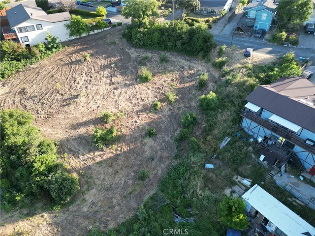 a view of a yard with plants and large trees