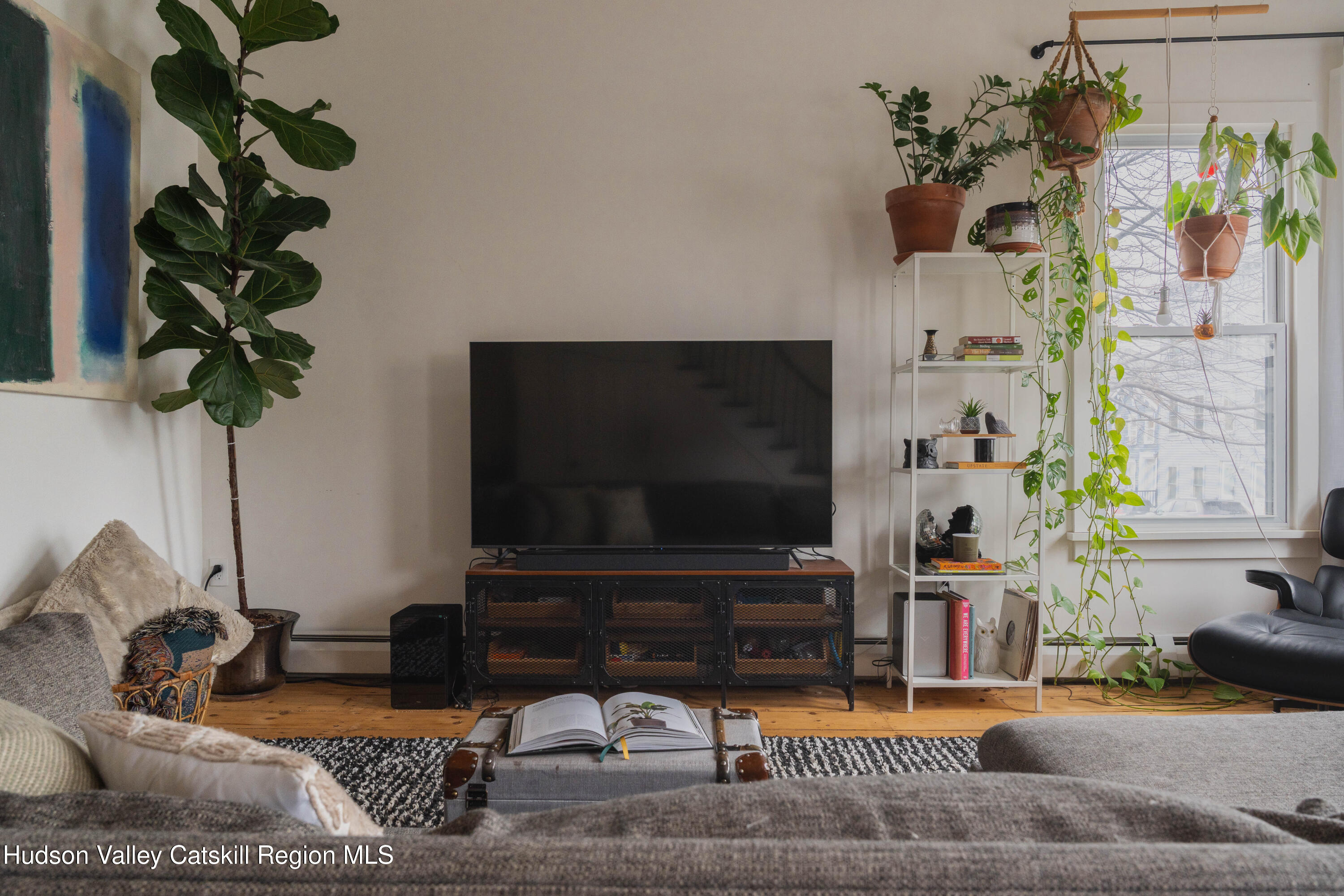 517 State Street Hudson, NY 12534 - Photo 14 of 36 a living room with furniture and a potted plant