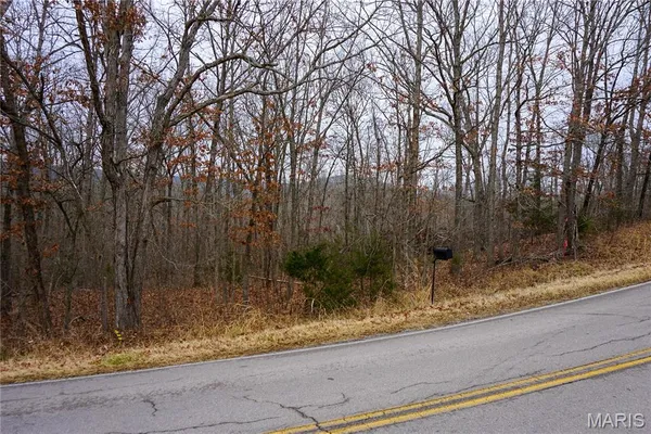 $32,500 | Tract B Tract B State Route, Dixon, MO 65459