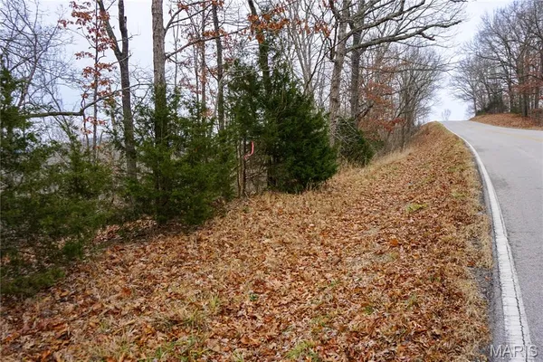 $32,500 | Tract B Tract B State Route, Dixon, MO 65459
