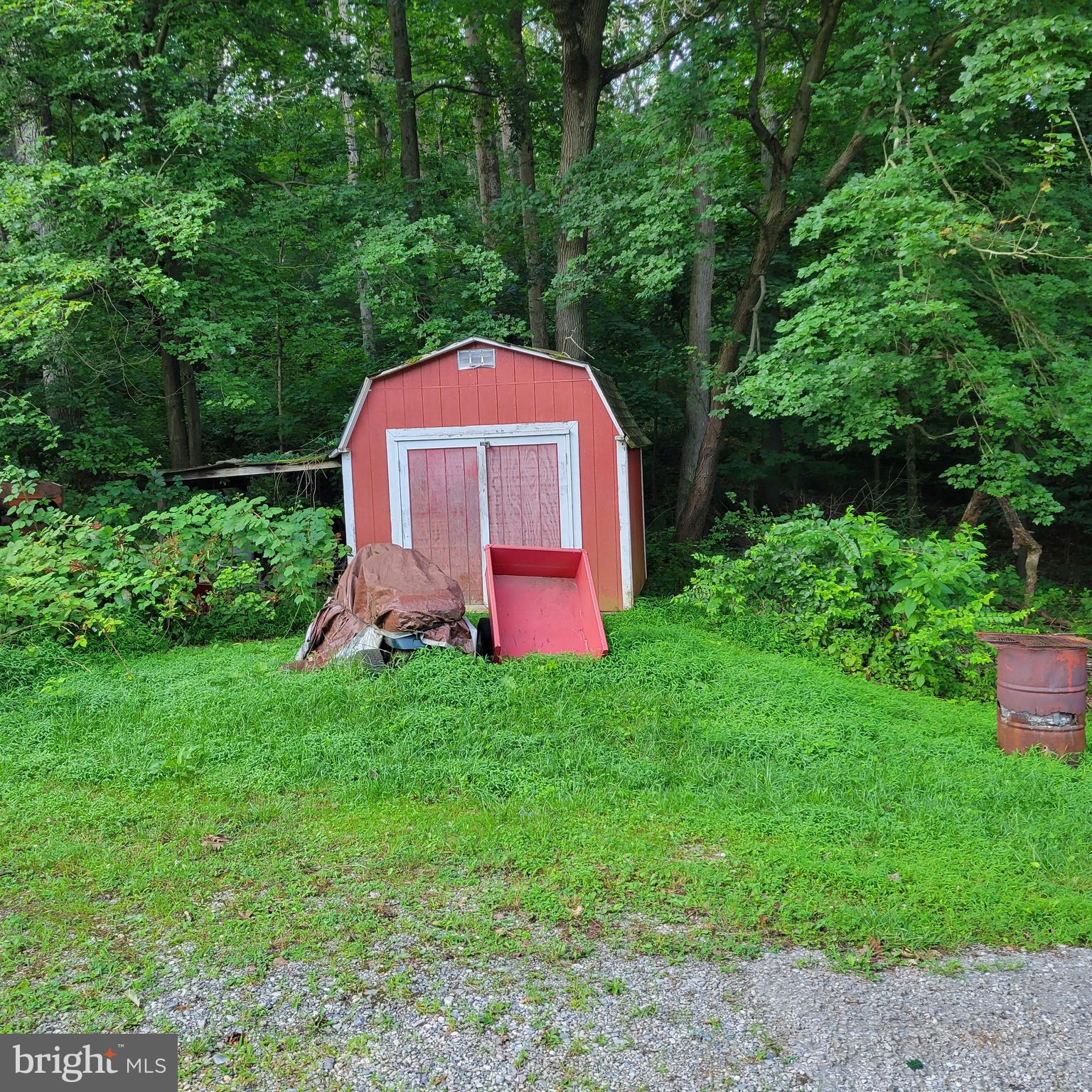 4227 Rupp Road Manchester, MD 21102 - Photo 7 of 31 a view of a backyard with large trees and plants