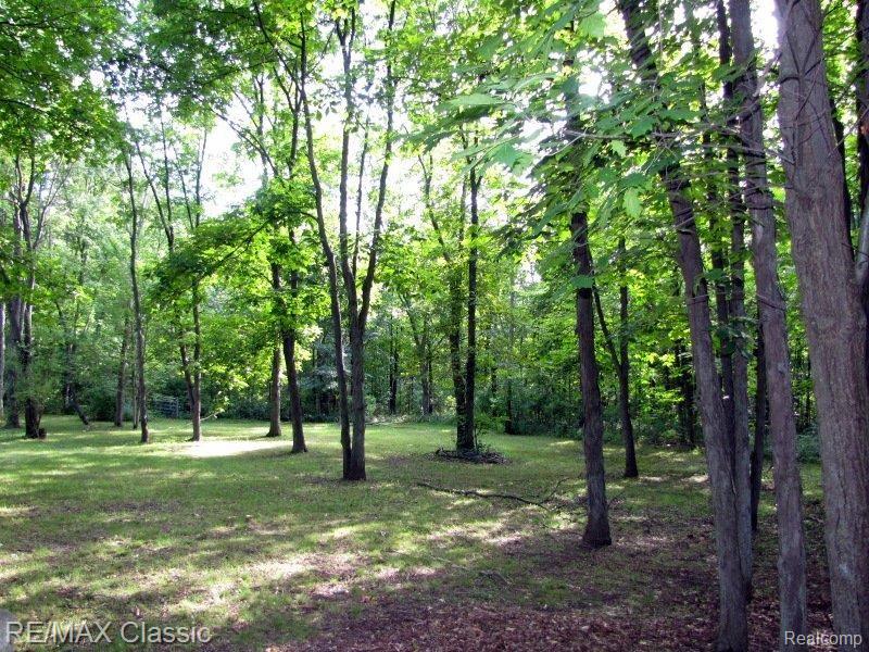 27485 Martindale Road New Hudson, MI 48165 - Photo 4 of 17 Gorgeous Wooded Views