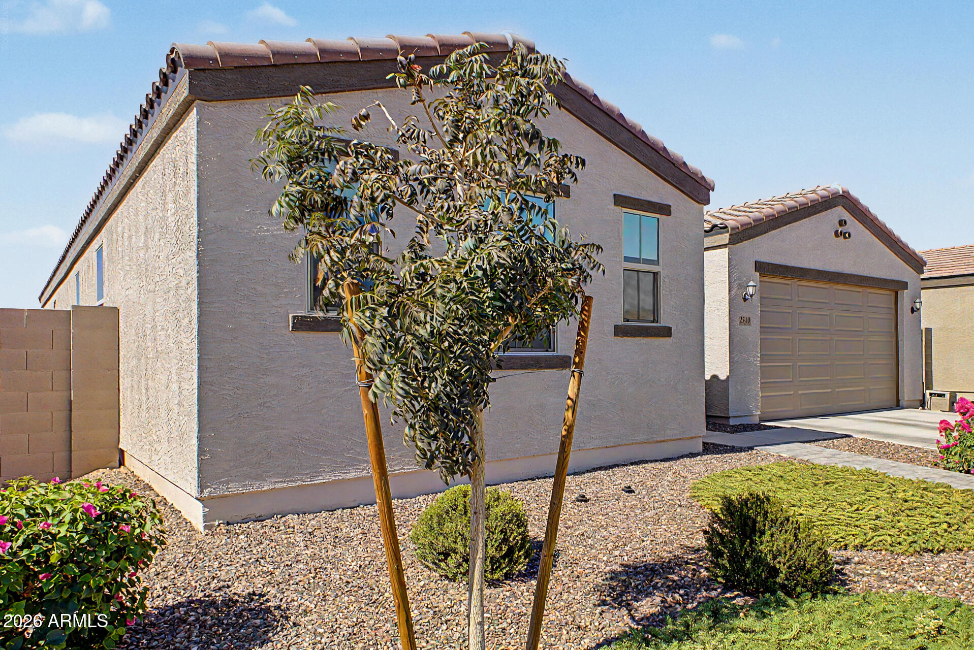2540 West Grenadine Road Phoenix, AZ 85041 - Photo 6 of 69 Front yard Vegetation