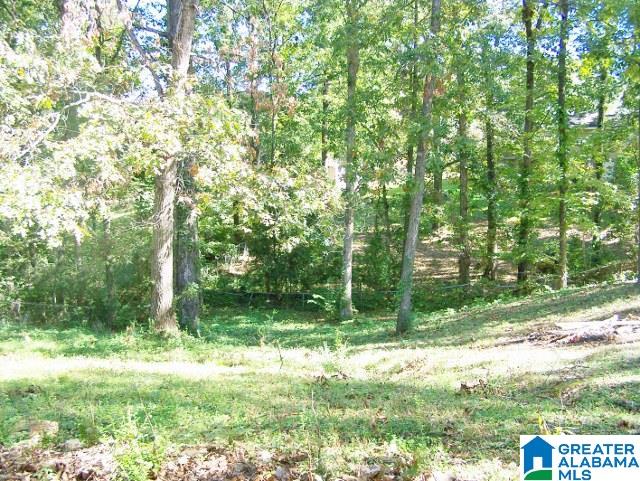 6317 Perry Street Anniston, AL 36206 - Photo 46 of 50