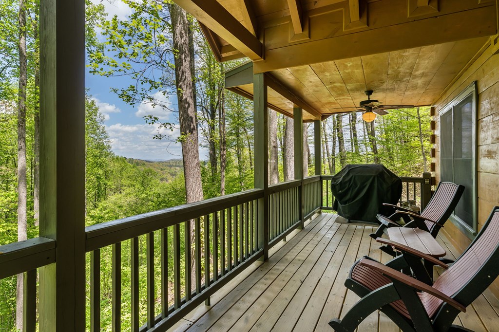 431 Little Bushy Head Road Blue Ridge, GA 30513 - Photo 13 of 46