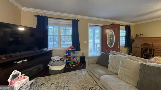 $250,000 | 132 Mimosa Drive, Reidsville, GA 30453