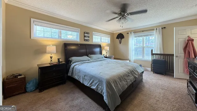 $250,000 | 132 Mimosa Drive, Reidsville, GA 30453