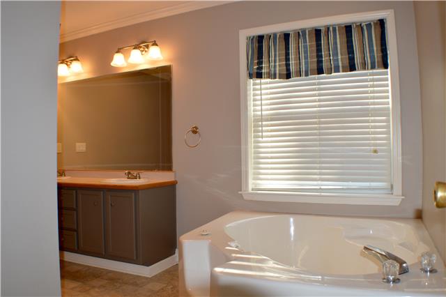 392 Joslin Branch Road White Bluff, TN 37187 - Photo 12 of 17 Master bathroom with separate shower and tub