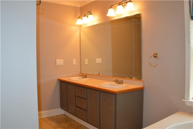 392 Joslin Branch Road White Bluff, TN 37187 - Photo 13 of 17 Double vanities in the master bathroom.
