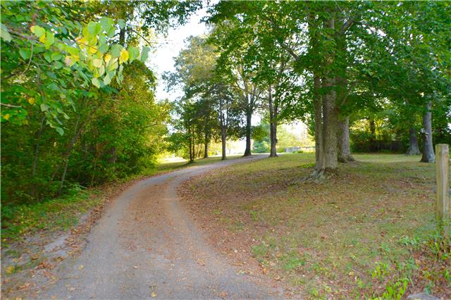 392 Joslin Branch Road White Bluff, TN 37187 - Photo 3 of 17 A look down the driveway looking toward the road. Completely private!