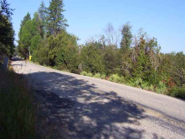 0 Labrador Retriver Chattaroy, WA 99003 - Photo 1 of 9 Gallery Image 1