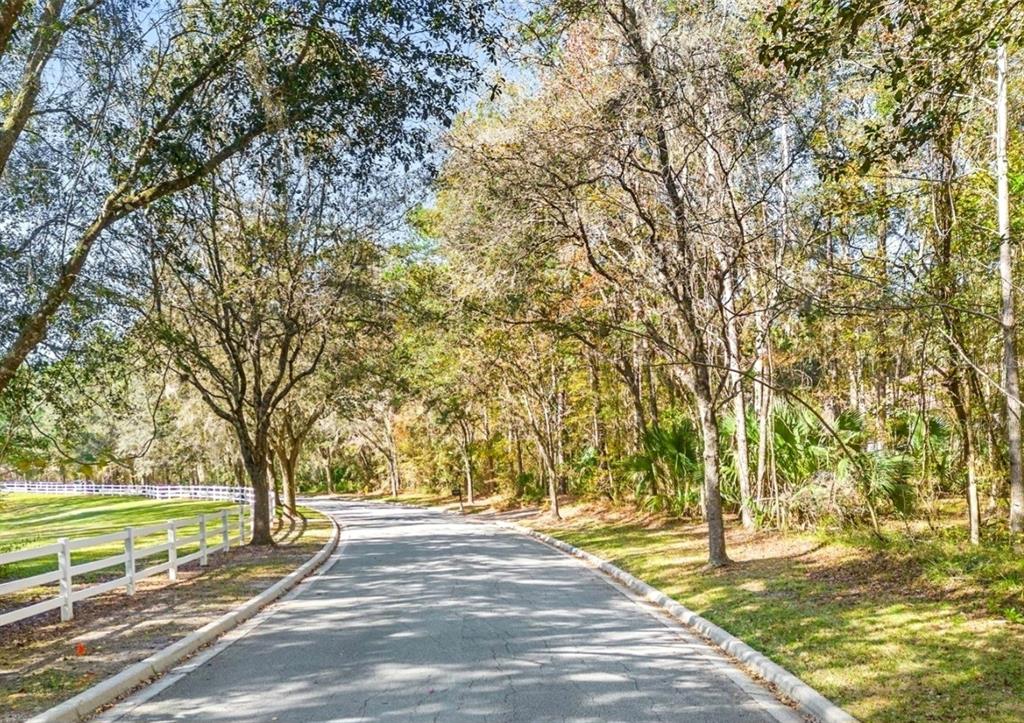 Tbd Southwest 37th Place Road Ocala, FL 34471 - Photo 2 of 11 a view of a yard with an trees