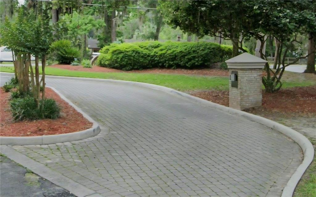 Tbd Southwest 37th Place Road Ocala, FL 34471 - Photo 5 of 11 a view of a backyard