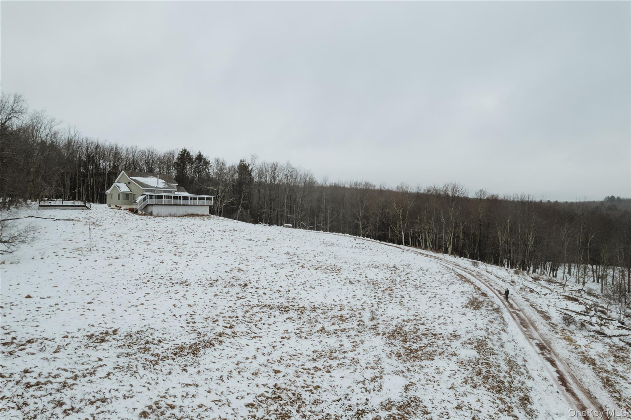 26 Beckys Hill Road Loch Sheldrake, NY 12759 - Photo 12 of 50 Yard layered in snow featuring a view of trees