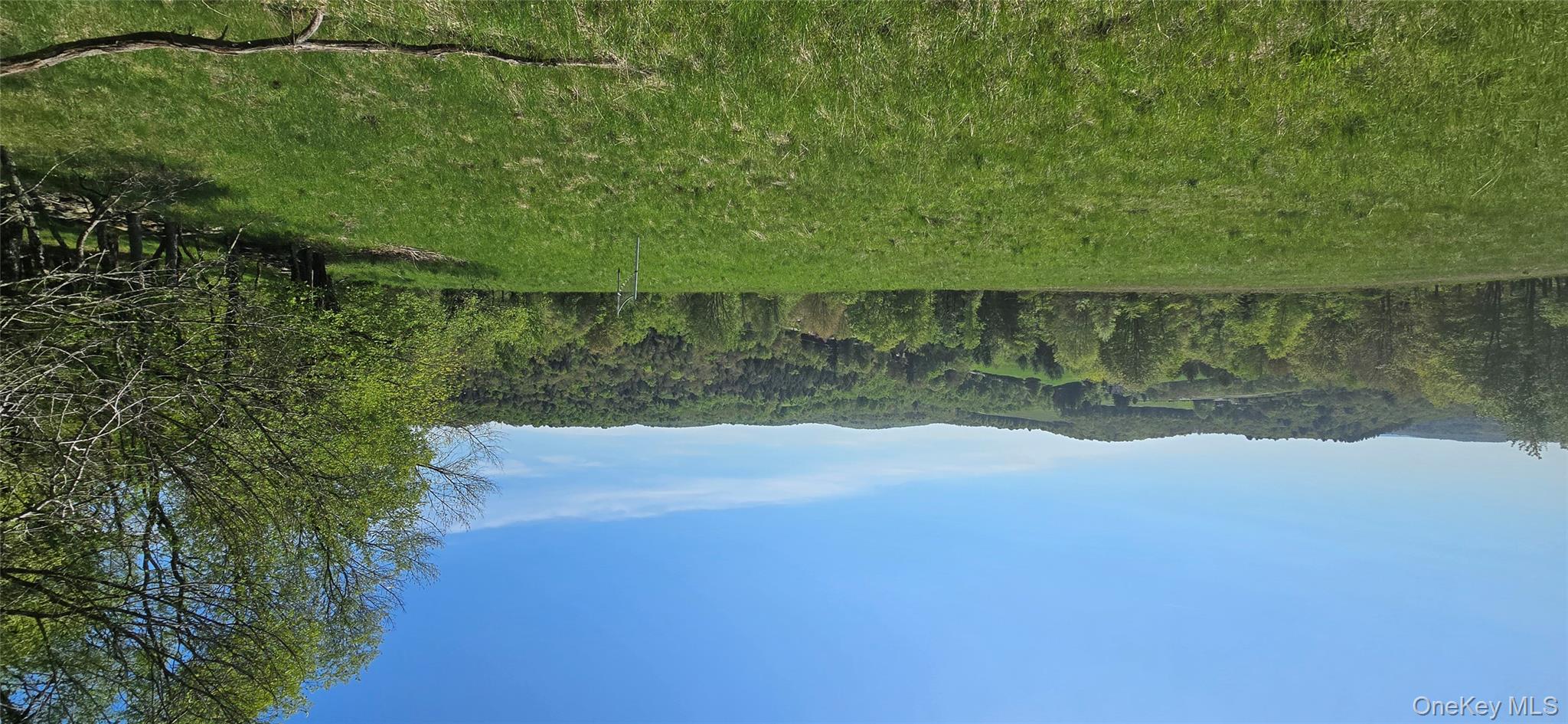 26 Beckys Hill Road Loch Sheldrake, NY 12759 - Photo 38 of 50 View of mountain backdrop with a heavily wooded area and rural landscape