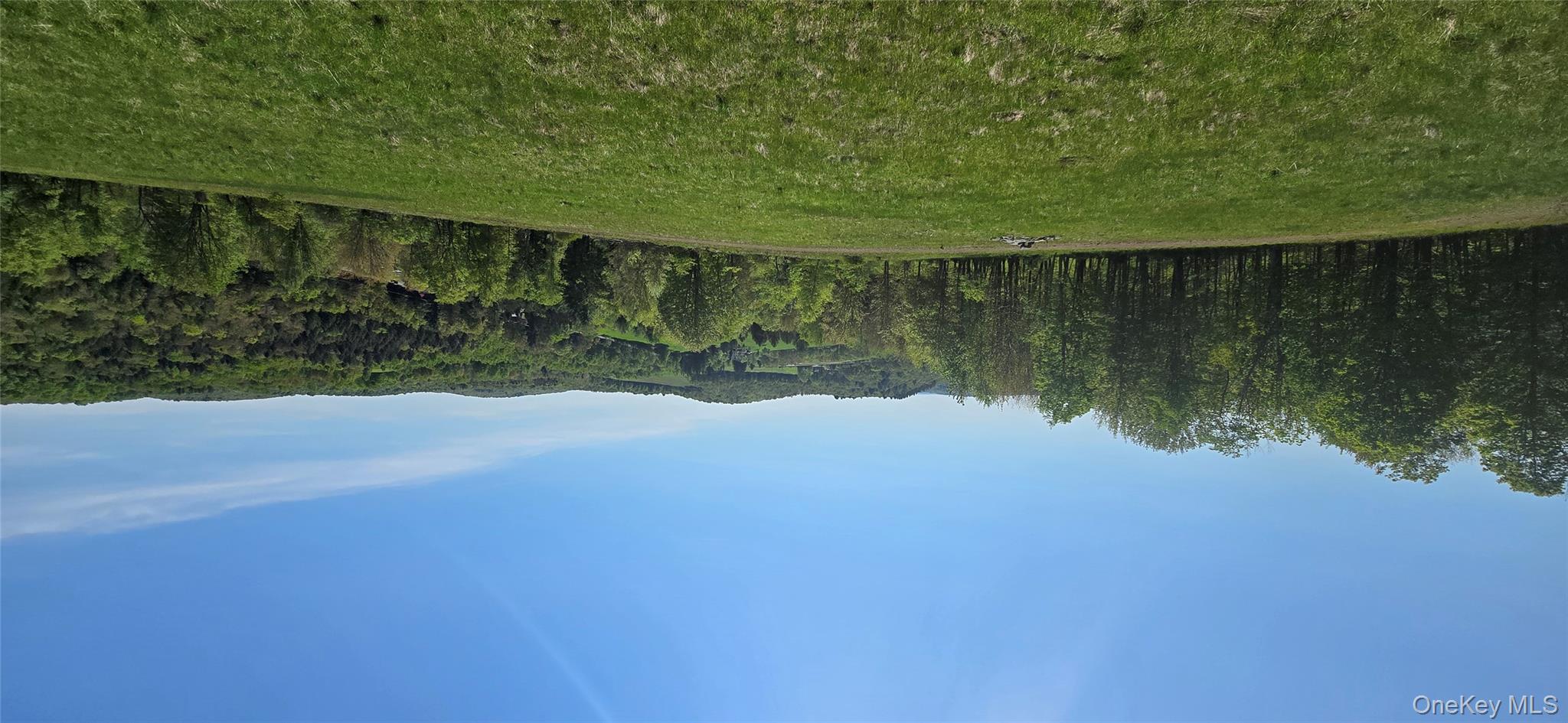 26 Beckys Hill Road Loch Sheldrake, NY 12759 - Photo 39 of 50 View of mountain background featuring a heavily wooded area