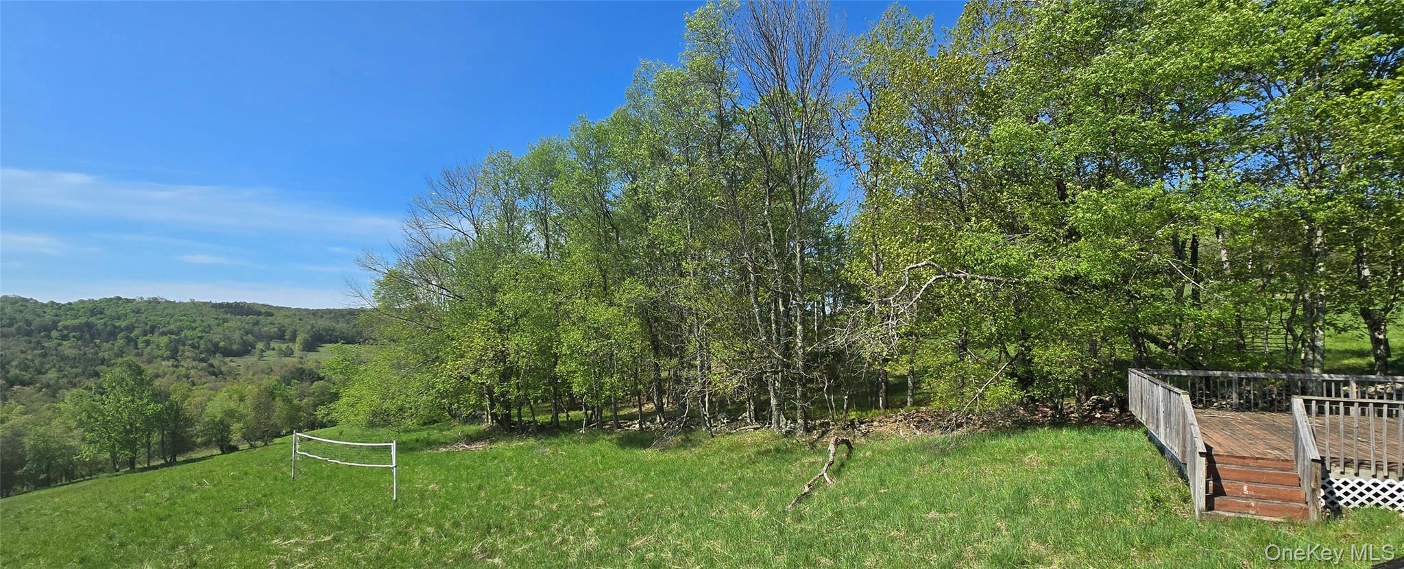 26 Beckys Hill Road Loch Sheldrake, NY 12759 - Photo 41 of 50 View of yard featuring a wooded view and a wooden deck
