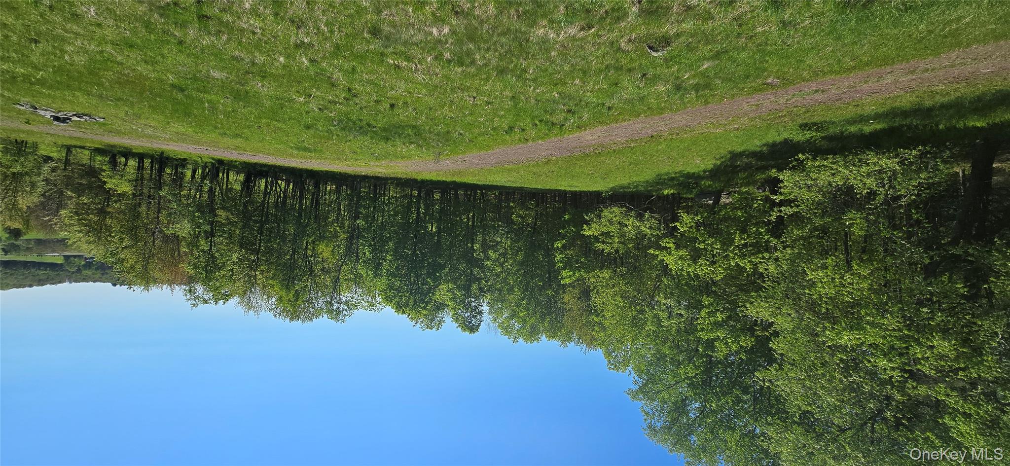 26 Beckys Hill Road Loch Sheldrake, NY 12759 - Photo 42 of 50 View of green lawn featuring a wooded view