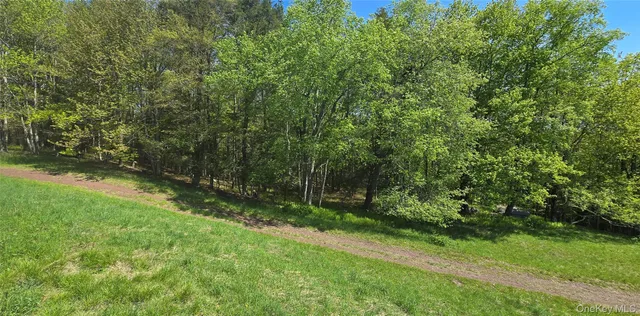 $595,000 | 26 Beckys Hill Road, Loch Sheldrake, NY 12759