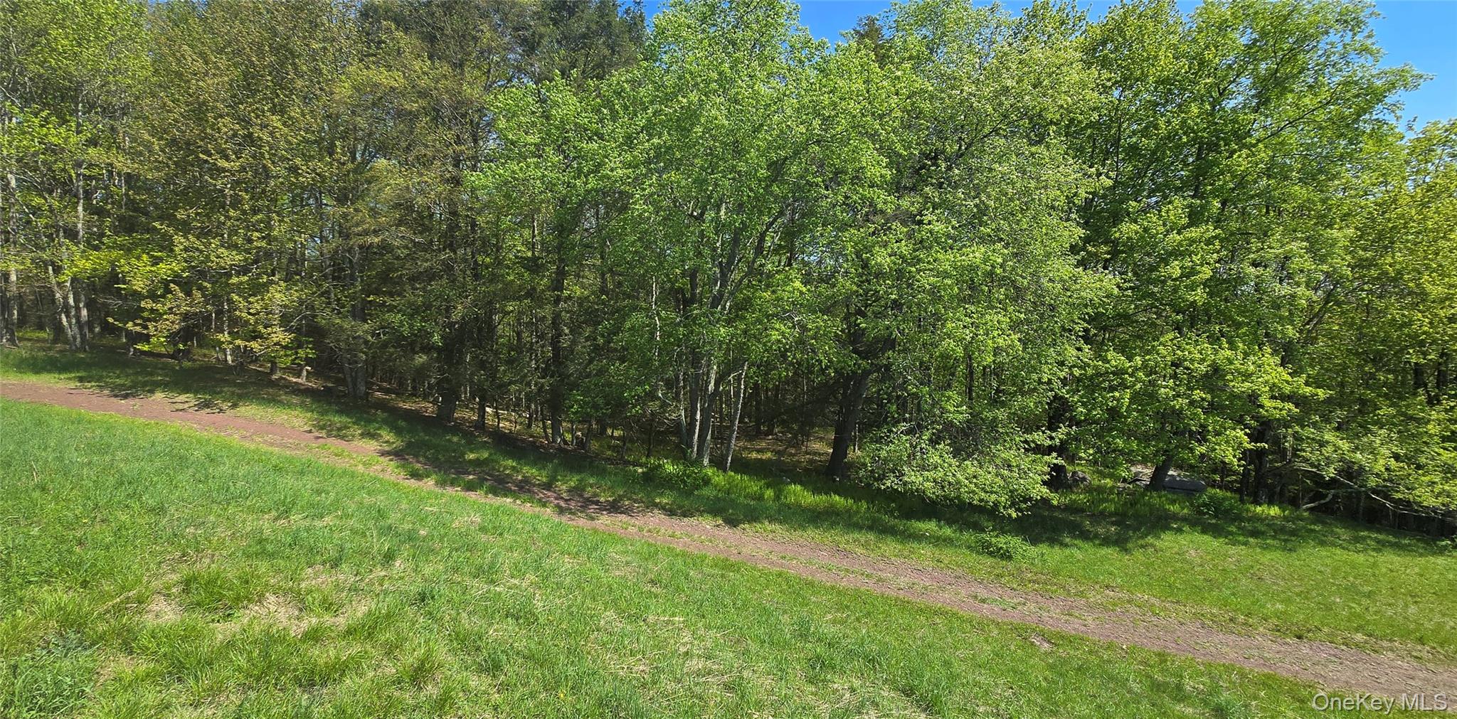 26 Beckys Hill Road Loch Sheldrake, NY 12759 - Photo 43 of 50 View of nature