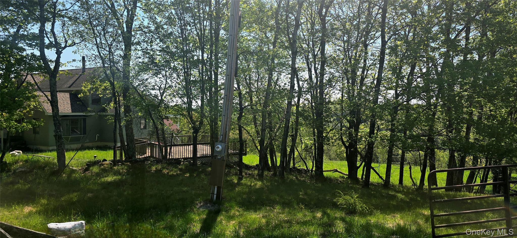 26 Beckys Hill Road Loch Sheldrake, NY 12759 - Photo 44 of 50 View of yard