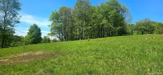 $595,000 | 26 Beckys Hill Road, Loch Sheldrake, NY 12759