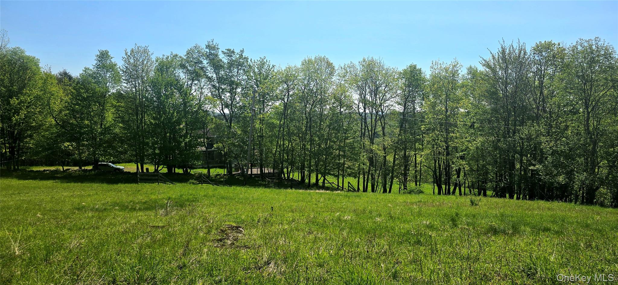 26 Beckys Hill Road Loch Sheldrake, NY 12759 - Photo 46 of 50 View of nature