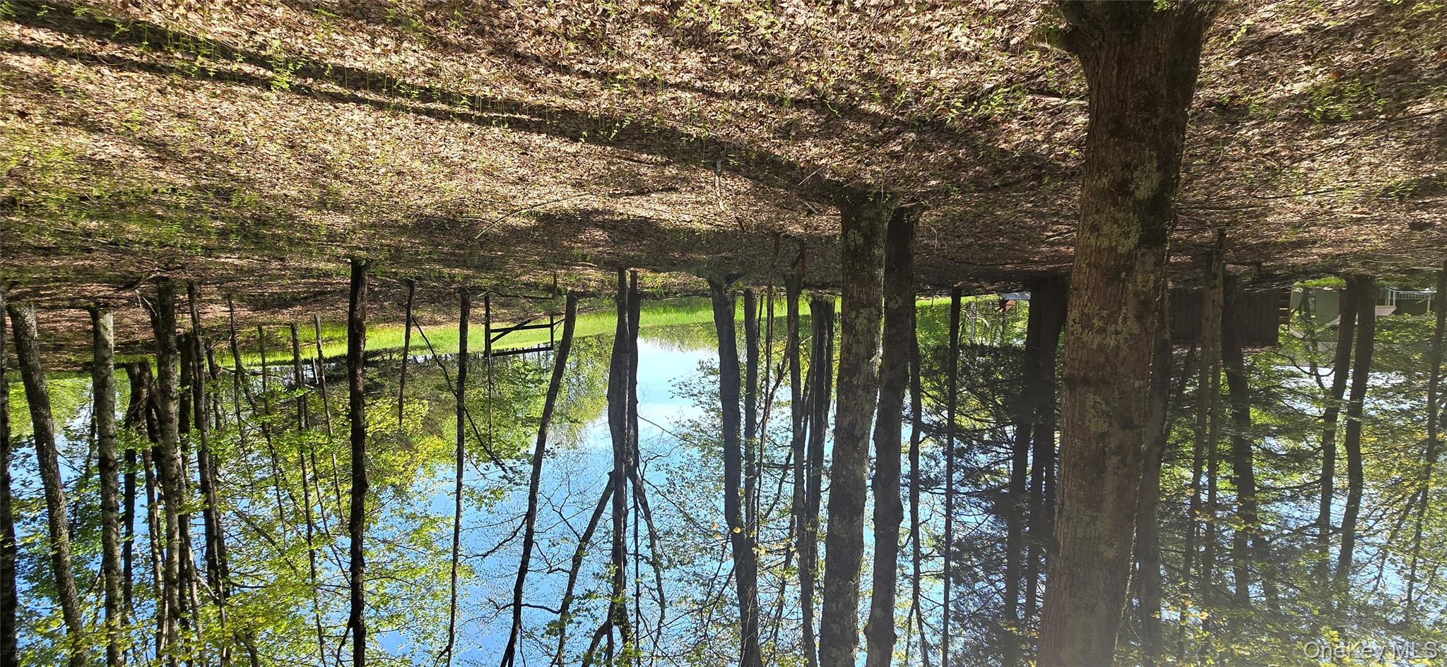 26 Beckys Hill Road Loch Sheldrake, NY 12759 - Photo 47 of 50 View of local wilderness
