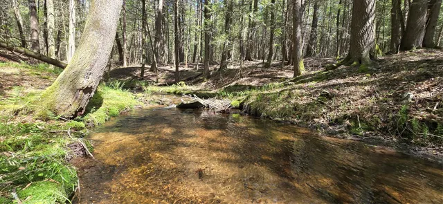 $595,000 | 26 Beckys Hill Road, Loch Sheldrake, NY 12759