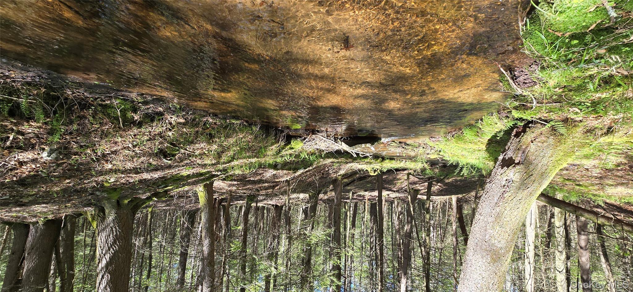 26 Beckys Hill Road Loch Sheldrake, NY 12759 - Photo 48 of 50 View of undeveloped land