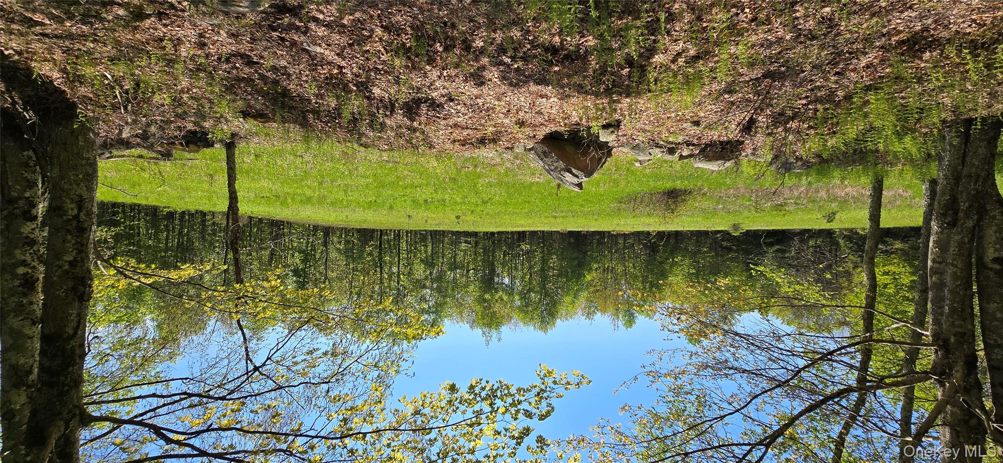 26 Beckys Hill Road Loch Sheldrake, NY 12759 - Photo 49 of 50 View of yard featuring a view of trees