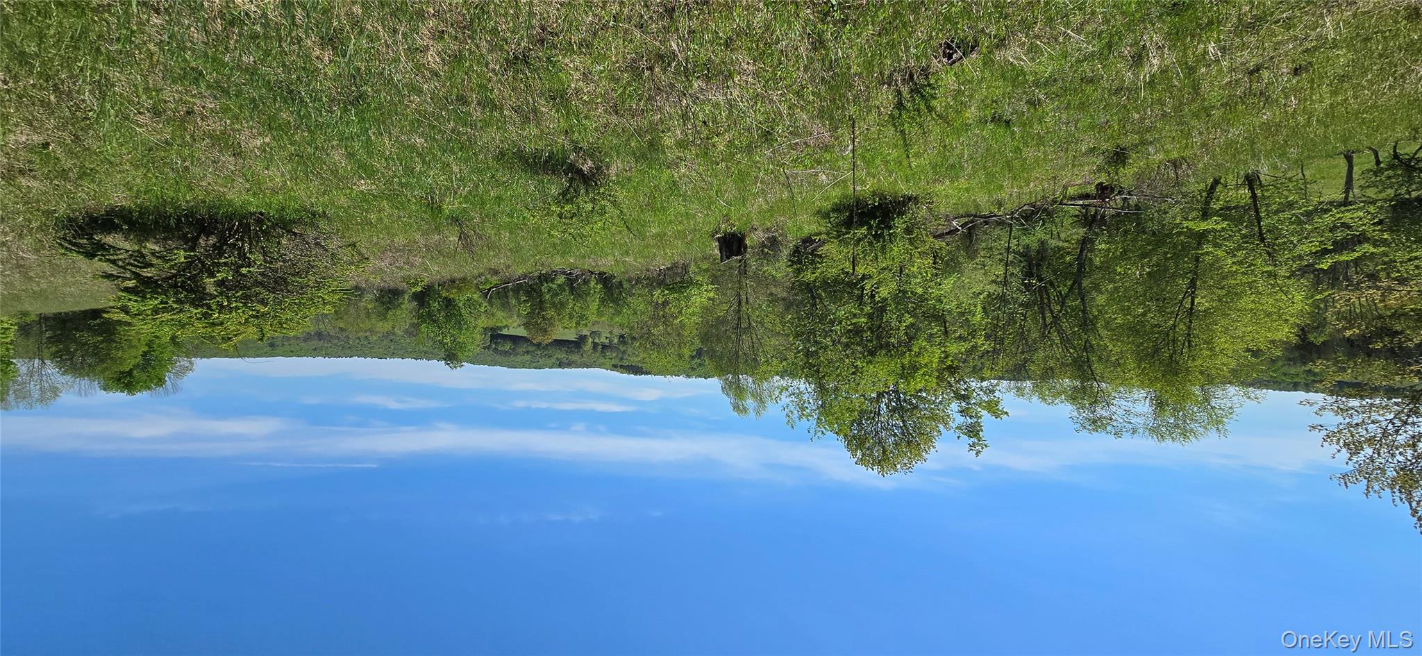 26 Beckys Hill Road Loch Sheldrake, NY 12759 - Photo 50 of 50 View of wooded area