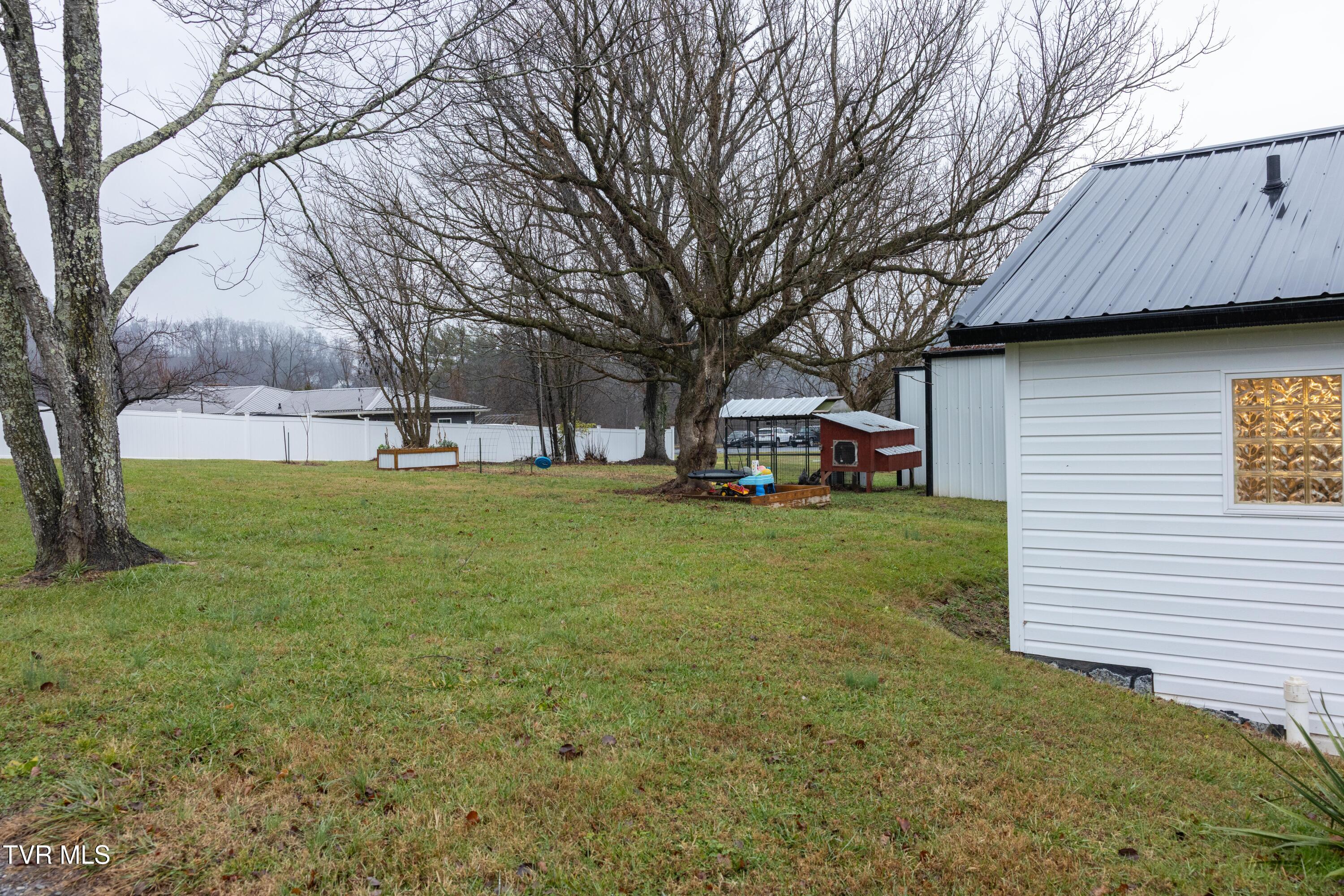 681 Princeton Road Johnson City, TN 37601 - Photo 27 of 37 back yard