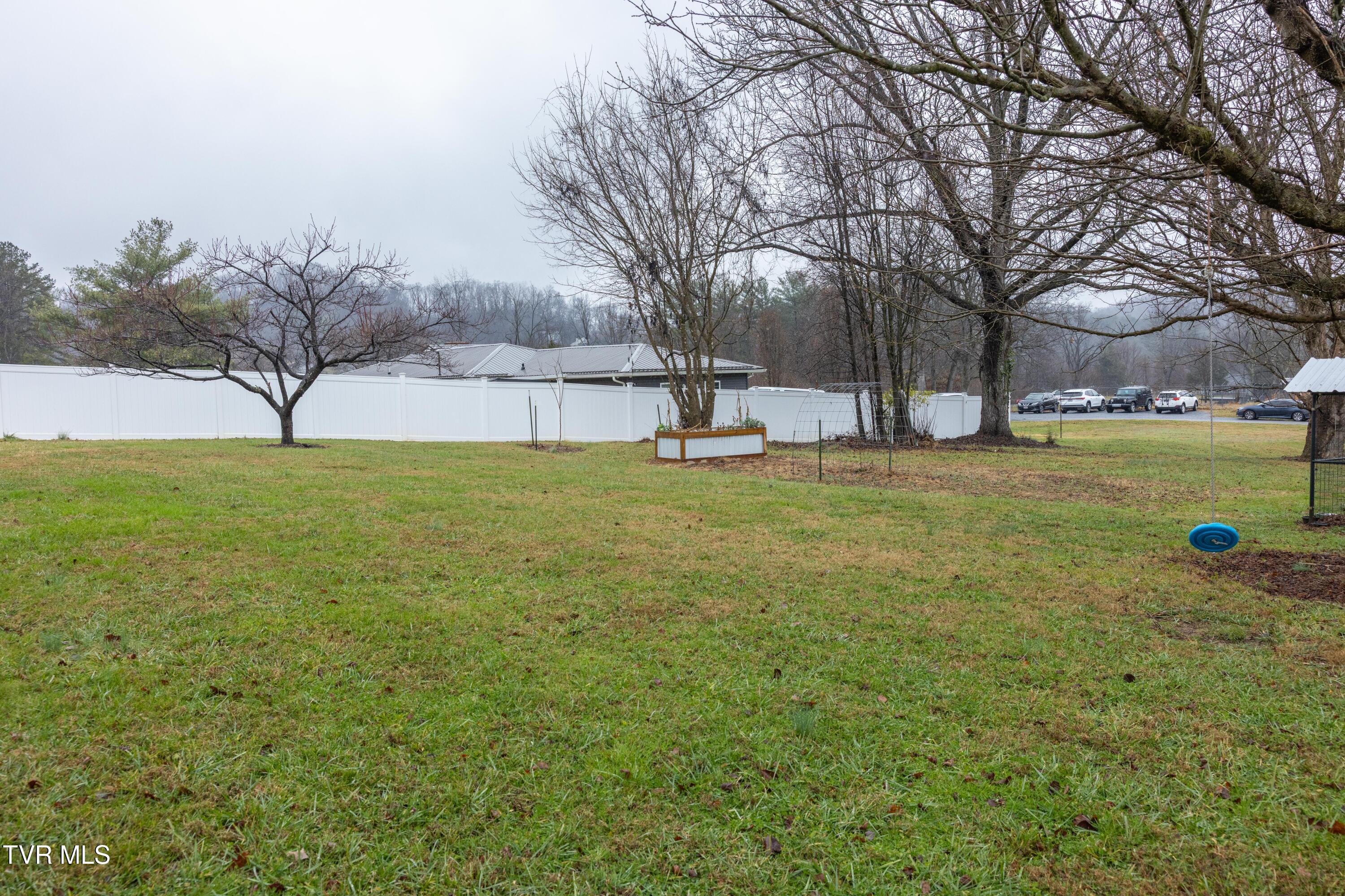 681 Princeton Road Johnson City, TN 37601 - Photo 28 of 37 back yard