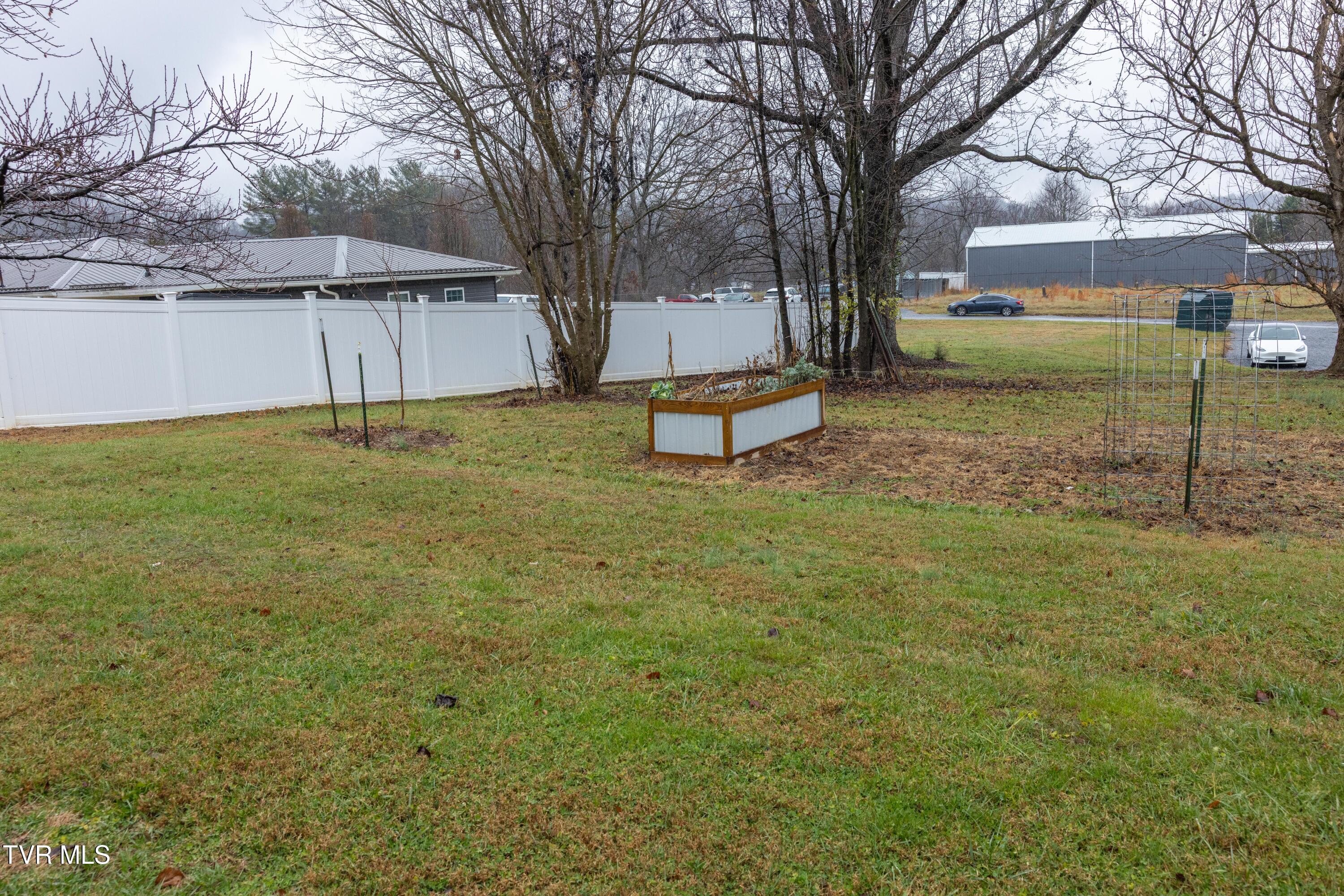681 Princeton Road Johnson City, TN 37601 - Photo 29 of 37 back yard