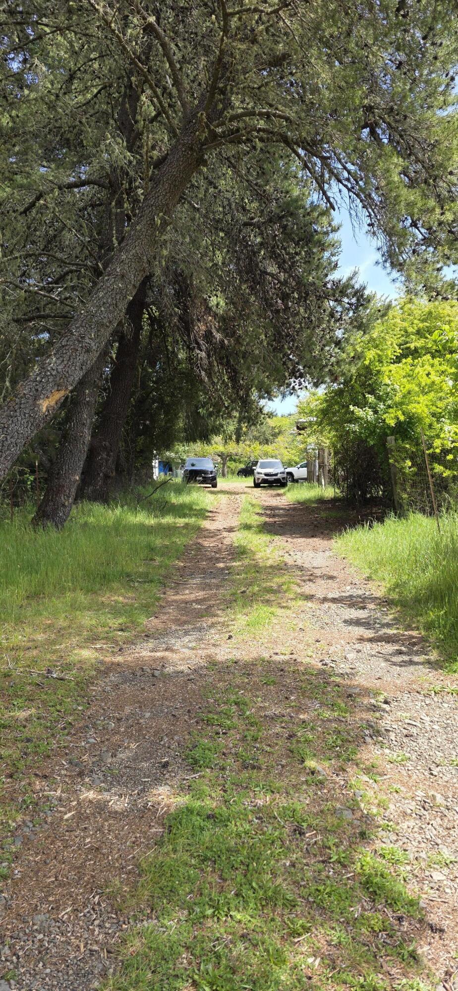725 Old Hindley Ranch Road Petrolia, CA 95558 - Photo 23 of 33