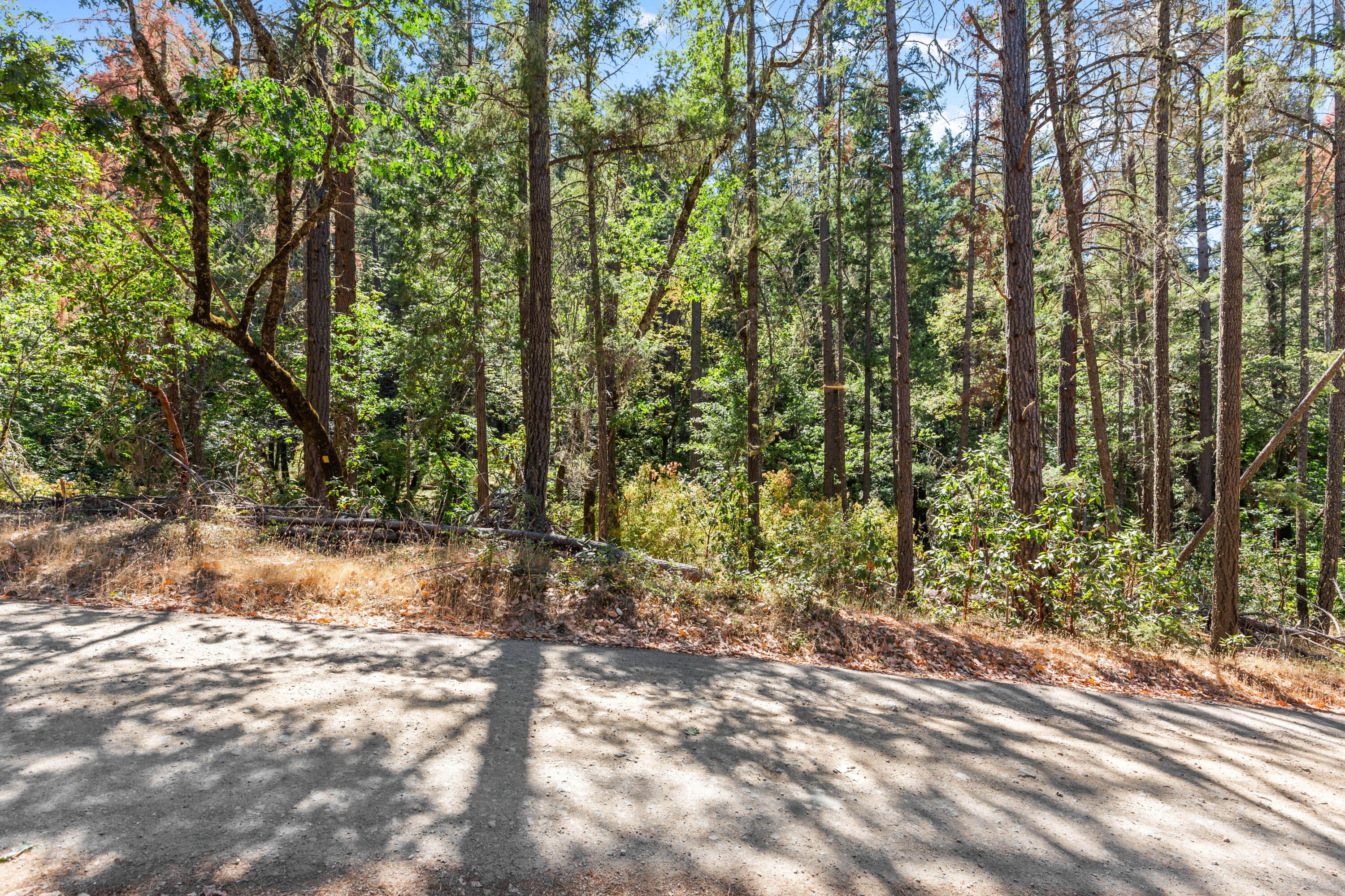 0 Hogan Road Jacksonville, OR 97530 - Photo 6 of 10 CU9A4943