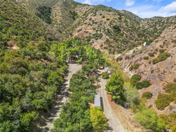 a view of a forest with patio