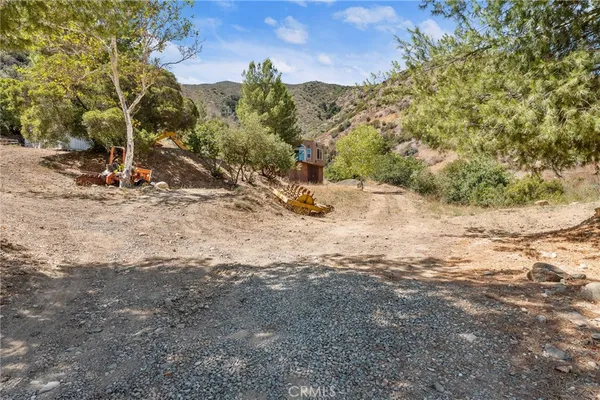 a view of a yard with a tree