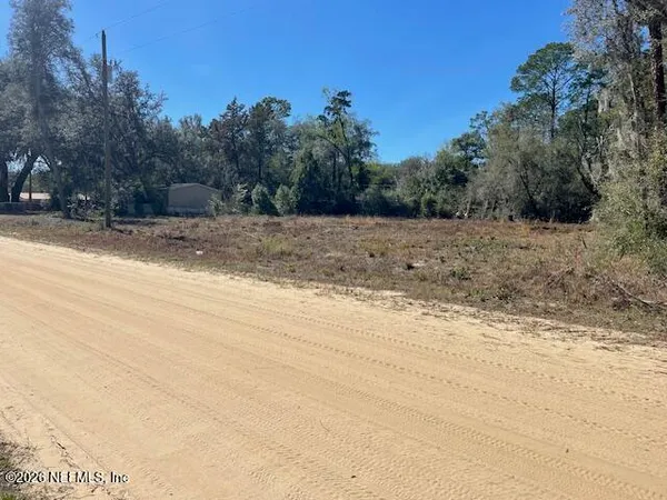 a view of a yard with trees